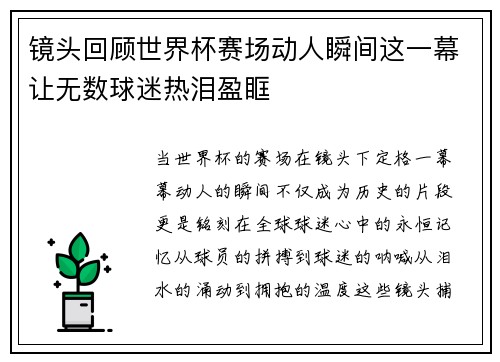 镜头回顾世界杯赛场动人瞬间这一幕让无数球迷热泪盈眶